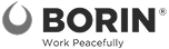 Logo borin