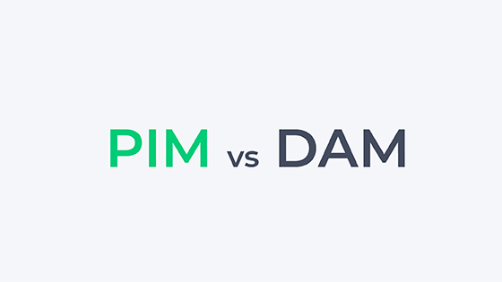La differenza Tra PIM e DAM